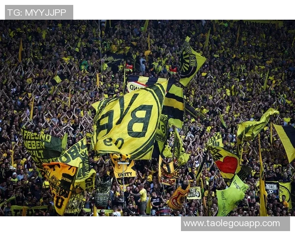 多特蒙德与法兰克福精彩对决直播全程回顾与分析